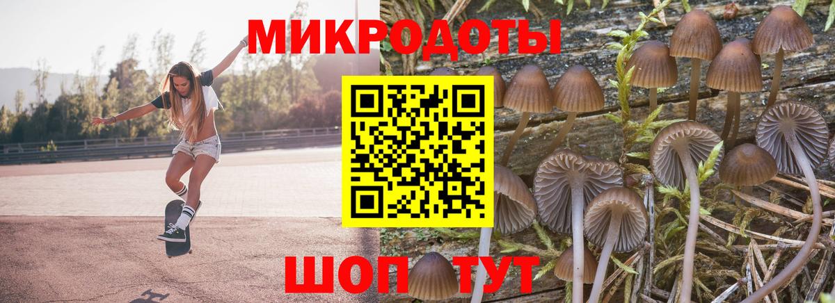 Галлюциногенные грибы прущие грибы Реутов